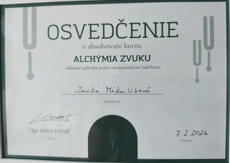 certifikat8